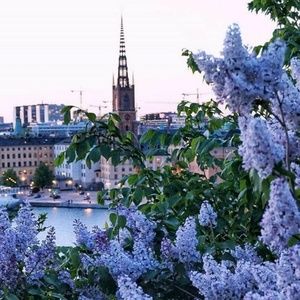 Meet your Posher, Donna a